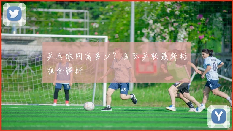 乒乓球网高多少？国际乒联最新标准全解析