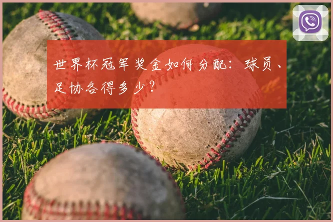 世界杯冠军奖金如何分配：球员、足协各得多少？