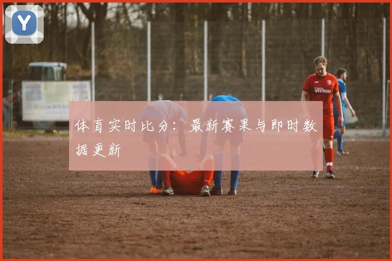 体育实时比分：最新赛果与即时数据更新