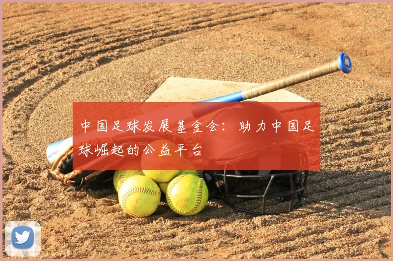 中国足球发展基金会：助力中国足球崛起的公益平台